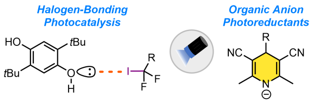 Organic Photoreductants