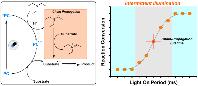 New Publication in Tetrahedron Chem